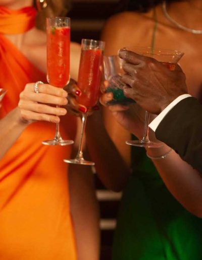 Closeup of group of people toasting in an elegant setting.